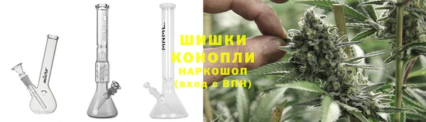 apvp Аркадак