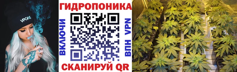 Бошки Шишки планчик  Купить где  Сосновоборск 